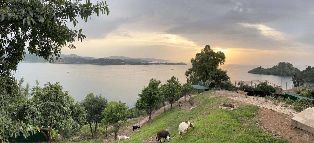 Amazi Land Home And Farm Stay Kibuye Extérieur photo